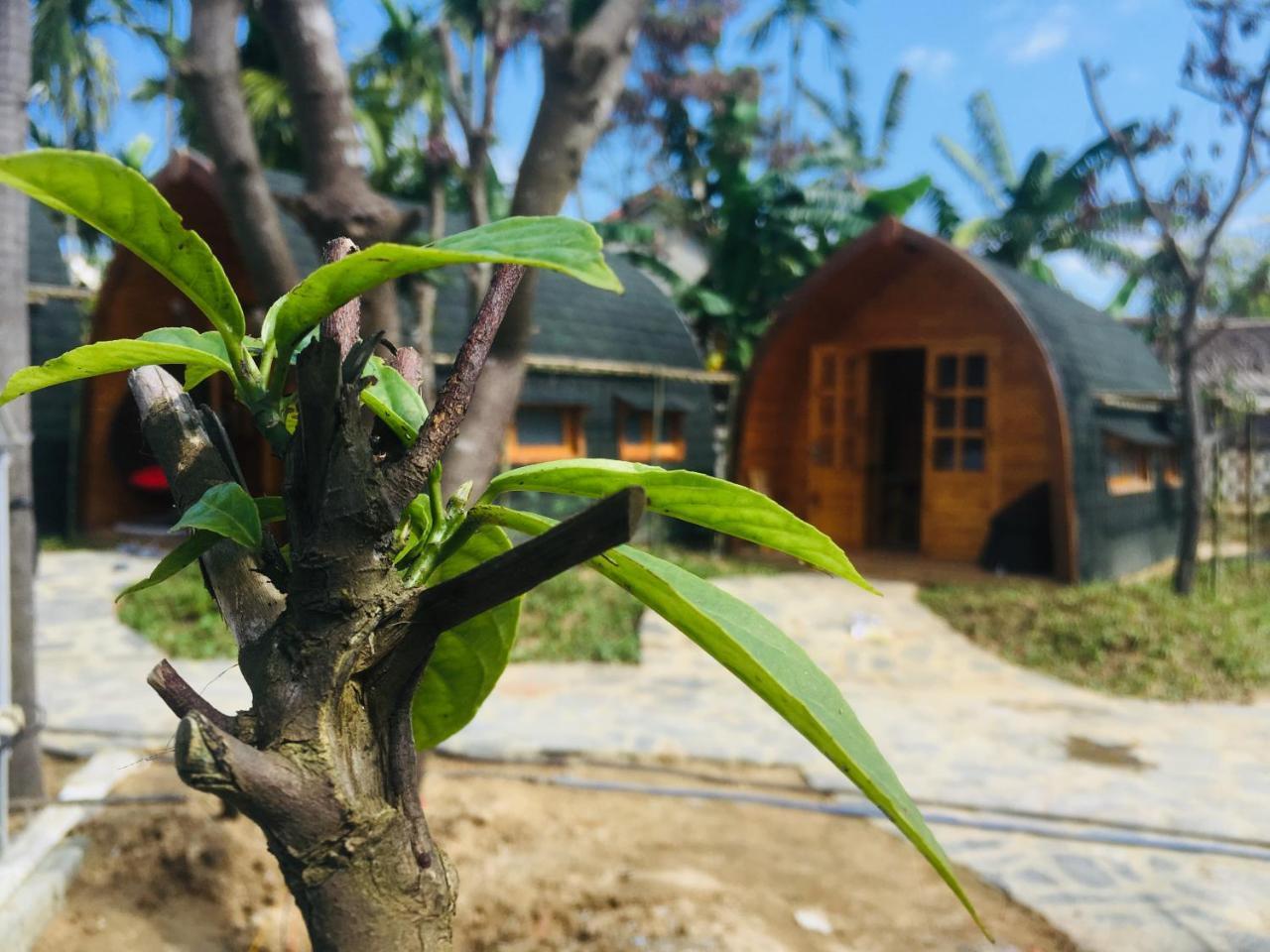 Coco-Farm Hoi An Apartment Luaran gambar